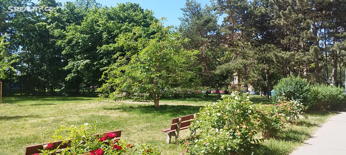 Prodej bytu 3+1 67 m², Štíbrova
