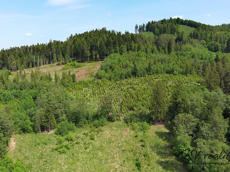 Grundstück zum Kauf, 2.493 m² (13 von 14)