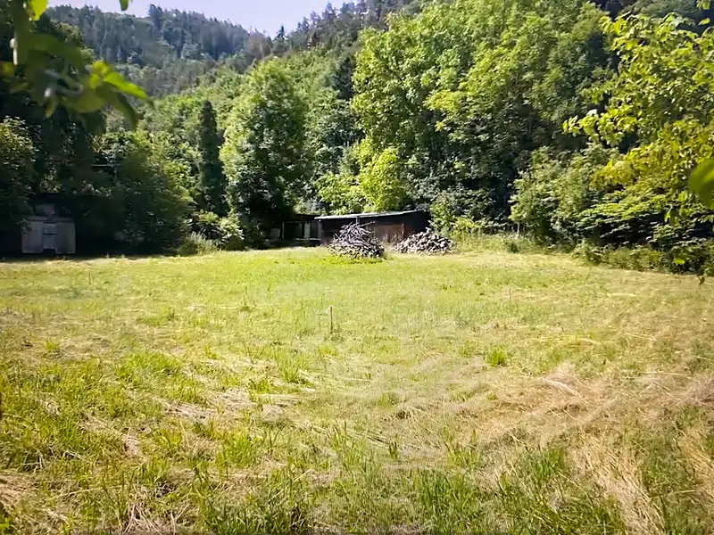Prodej stavebního pozemku 2701 m², Štěpánovice – náhled fotky 3