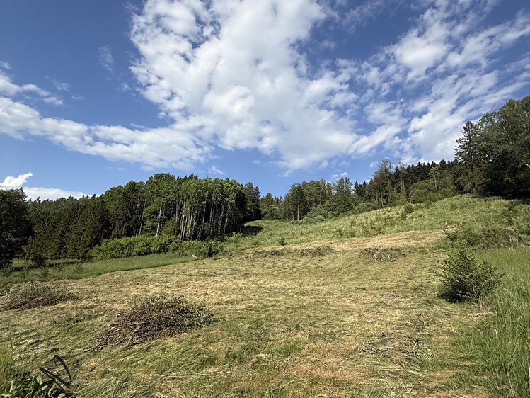 Grundstück zum Kauf, 2.493 m² (7 von 14)