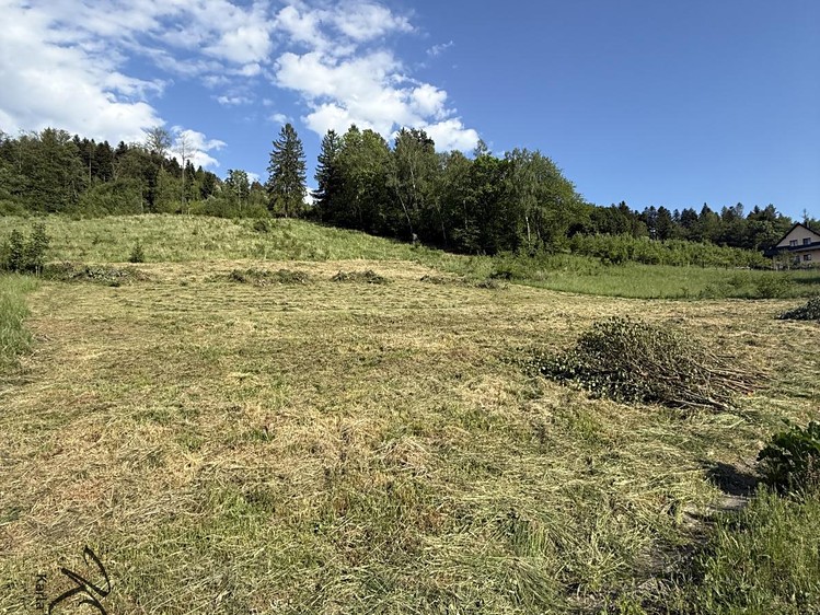 Grundstück zum Kauf, 2.493 m² (11 von 14)