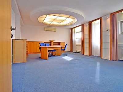 Pronájem komerčního prostoru, 192 m² (2 z 17)