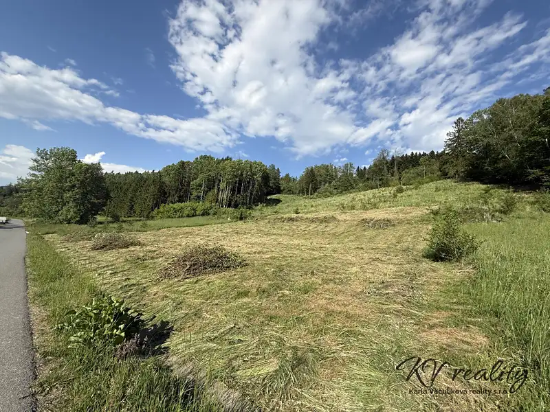 Prodej stavebního pozemku 2493 m², Ratiboř – náhled fotky 1