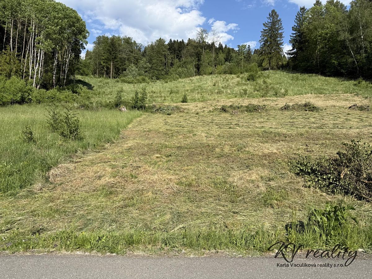 Prodej stavebního pozemku 2493 m² – fotografie 2