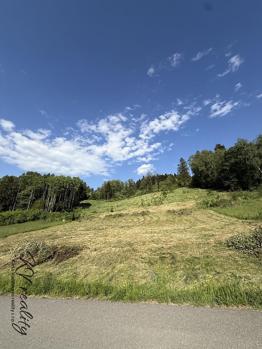 Prodej stavebního pozemku 2493 m² – fotografie 3