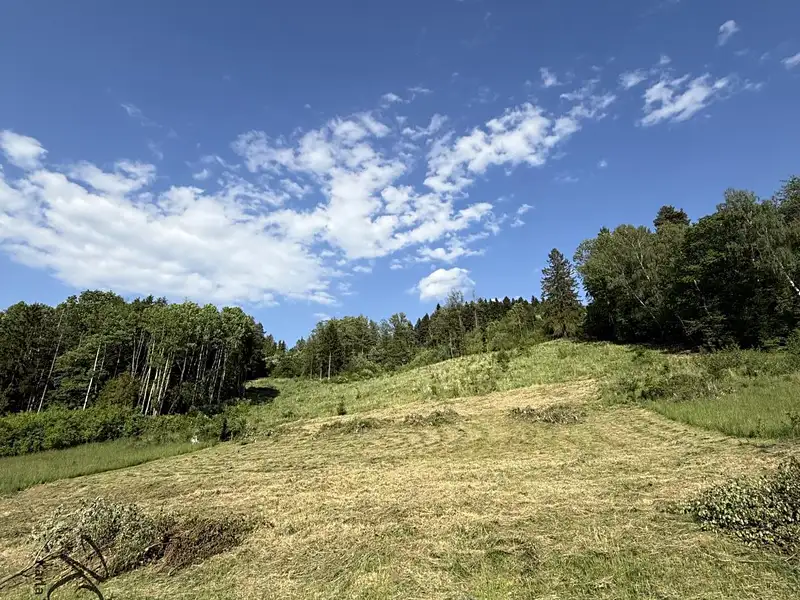Prodej stavebního pozemku 2493 m², Ratiboř – náhled fotky 3