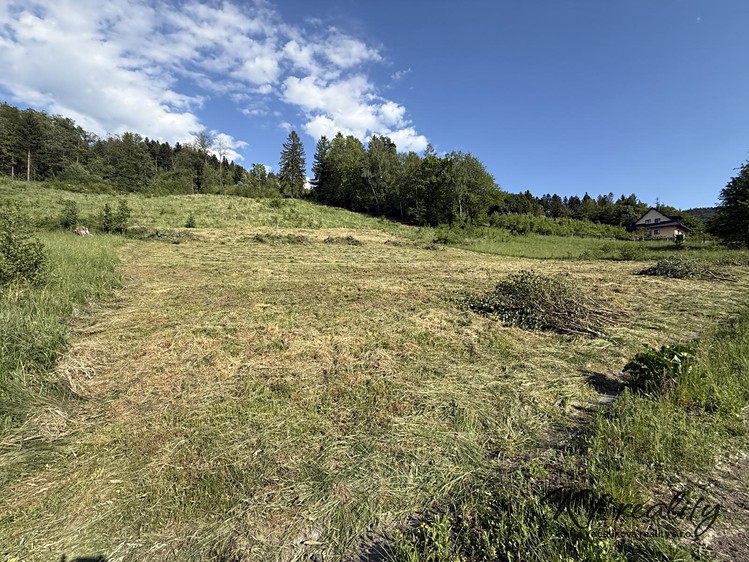 Grundstück zum Kauf, 2.493 m² (6 von 14)