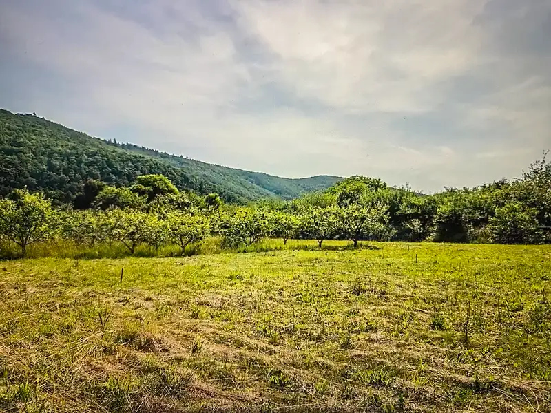 Prodej stavebního pozemku 2701 m², Štěpánovice – náhled fotky 2