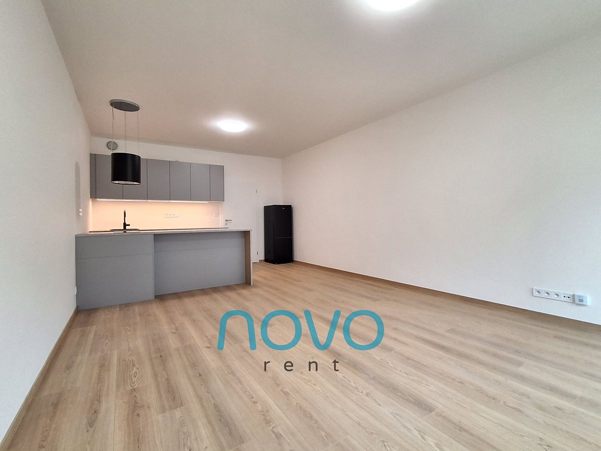 Pronájem bytu 1+kk 41 m²