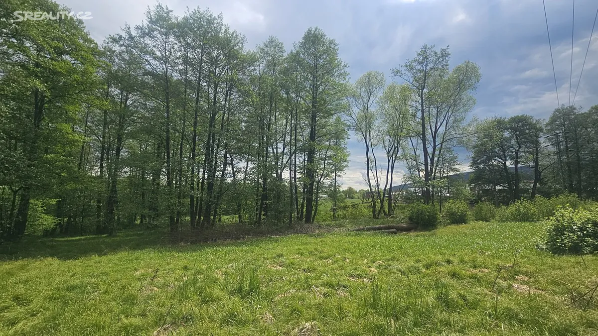 Prodej pozemku 9589 m² - Widok 6