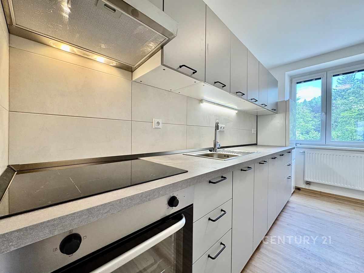 Pronájem bytu 1+1 40 m²