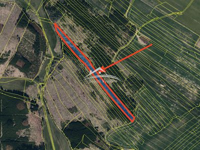 Prodej lesa 8890 m²