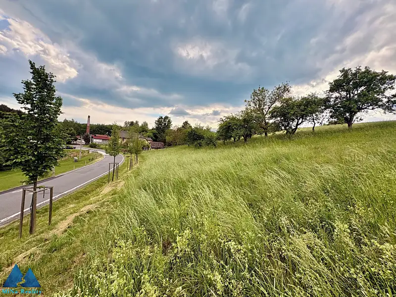 Prodej stavebního pozemku 1680 m², Libňatov – náhled fotky 3