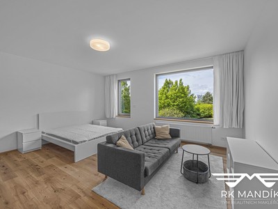 Pronájem bytu 1+kk 45 m²