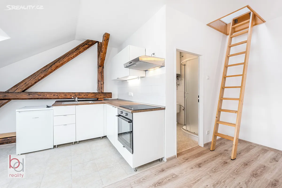 Pronájem bytu 1+kk 40 m², České Budějovice