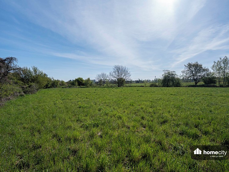 Prodej pozemku, 9 749 m² (14 z 16)