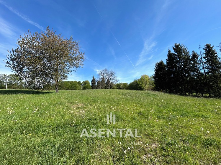 Prodej pozemku, 2 355 m² (1 z 4)