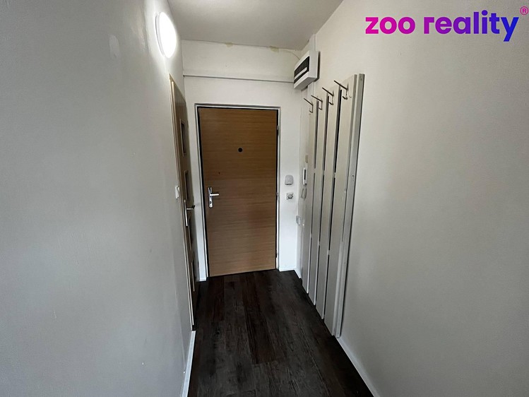 Pronájem bytu 1+1, 36 m² (12 z 18)