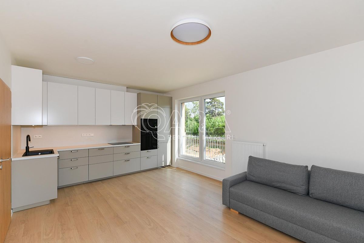 Pronájem bytu 3+kk 65 m²