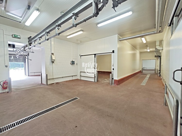 Комерційне приміщення в оренду, 6 700 м² (1 з 14)