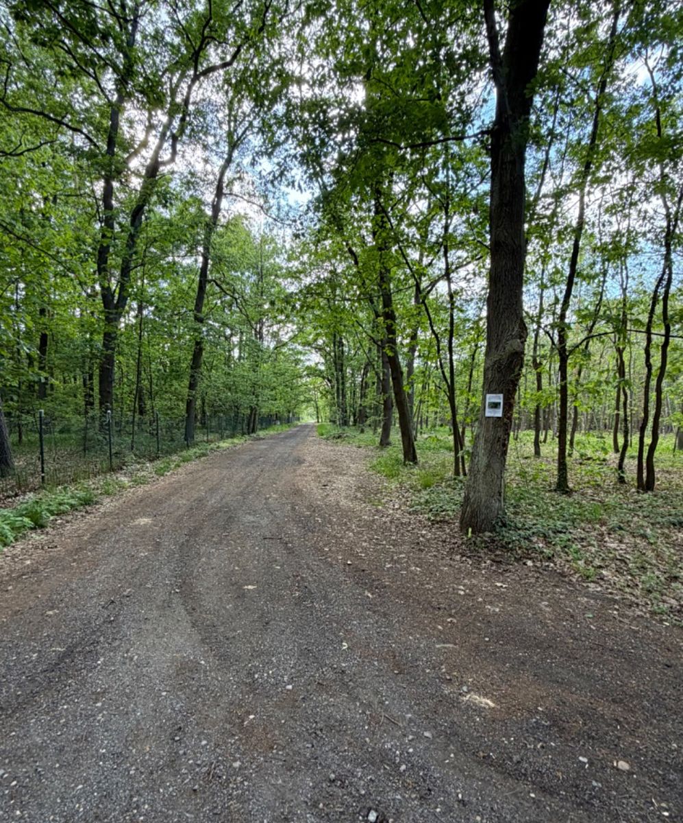 Prodej stavebního pozemku 3470 m² – fotografie 2