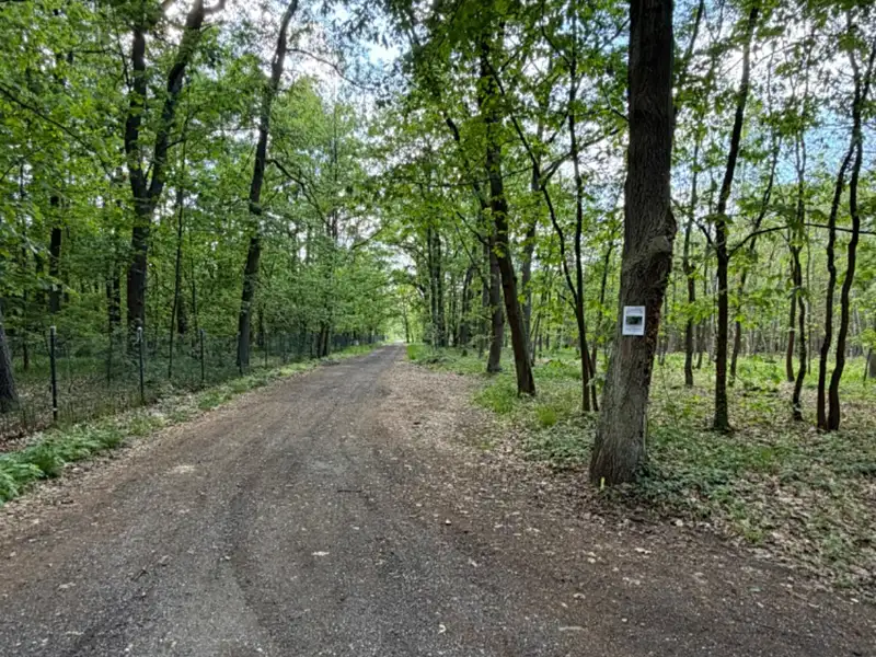 Prodej stavebního pozemku 3470 m², Hradištko – náhled fotky 2