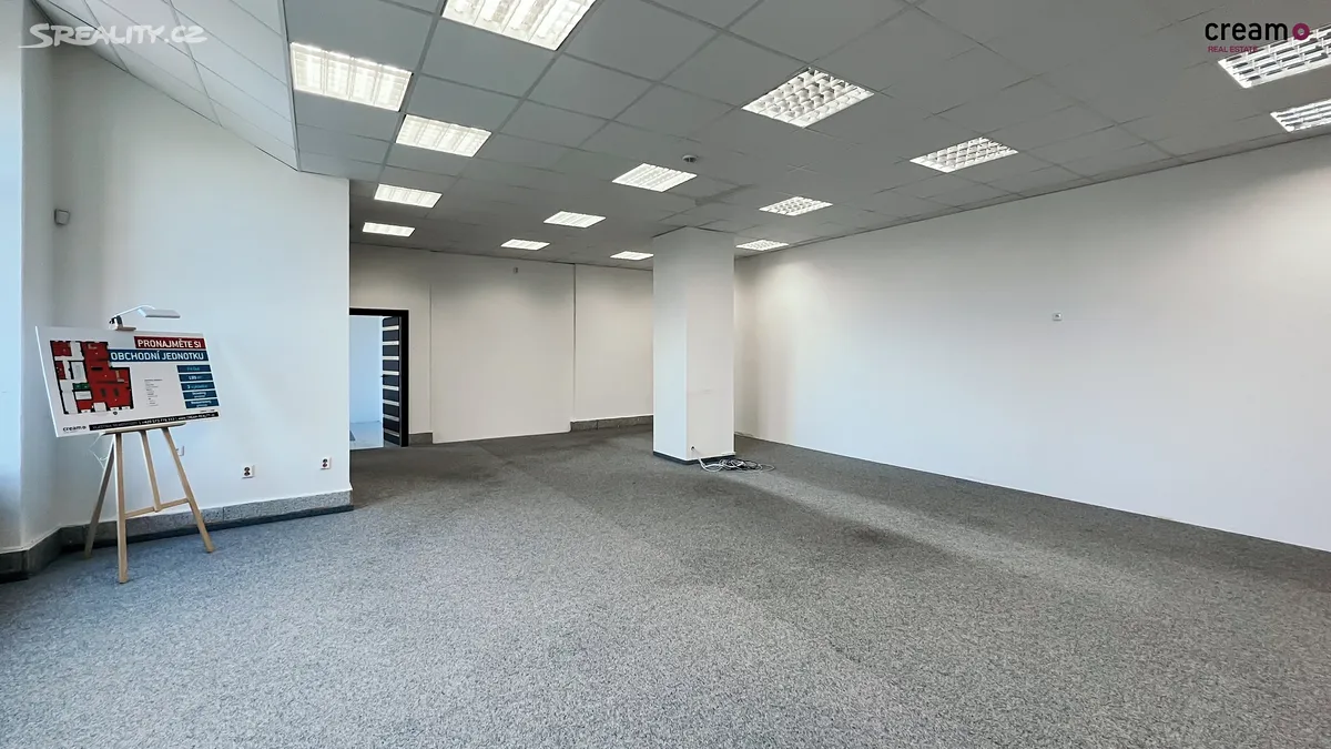 Pronájem obchodního prostoru 192 m² - Widok 3