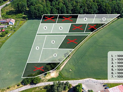 Prodej  pole 1 000 m²