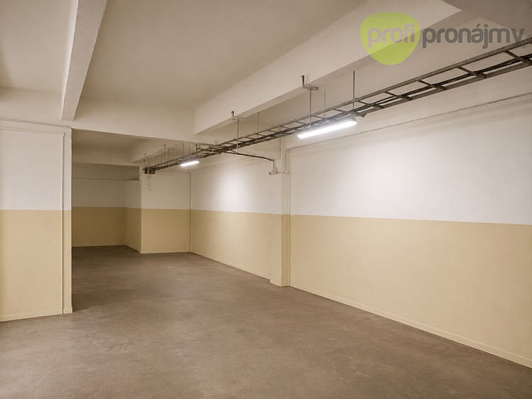 Gewerbefläche zur Miete, 240 m² (2 von 15)