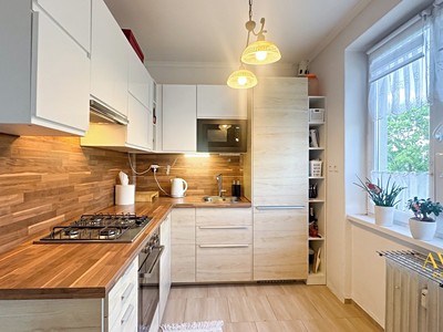 Prodej bytu 2+1, 48 m² (3 z 17)