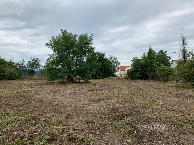 Ділянка на продаж, 951 м² (3 з 10)