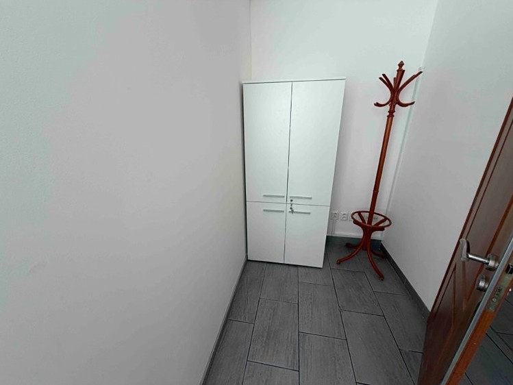 Pronájem komerčního prostoru, 600 m² (9 z 14)