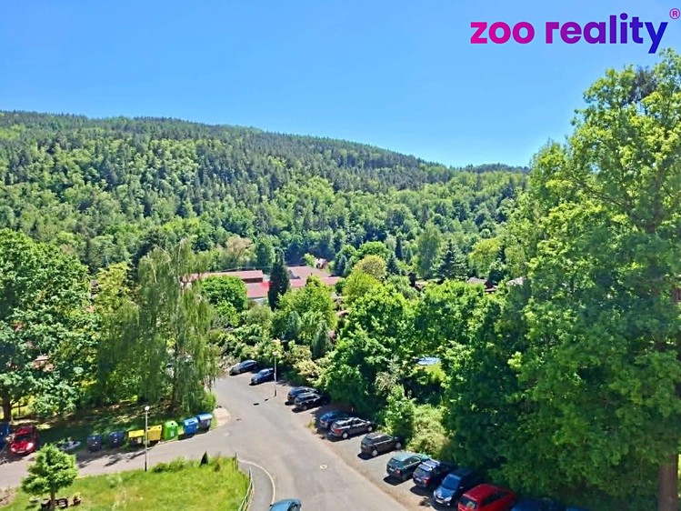 Pronájem bytu 1+1, 36 m² (13 z 18)