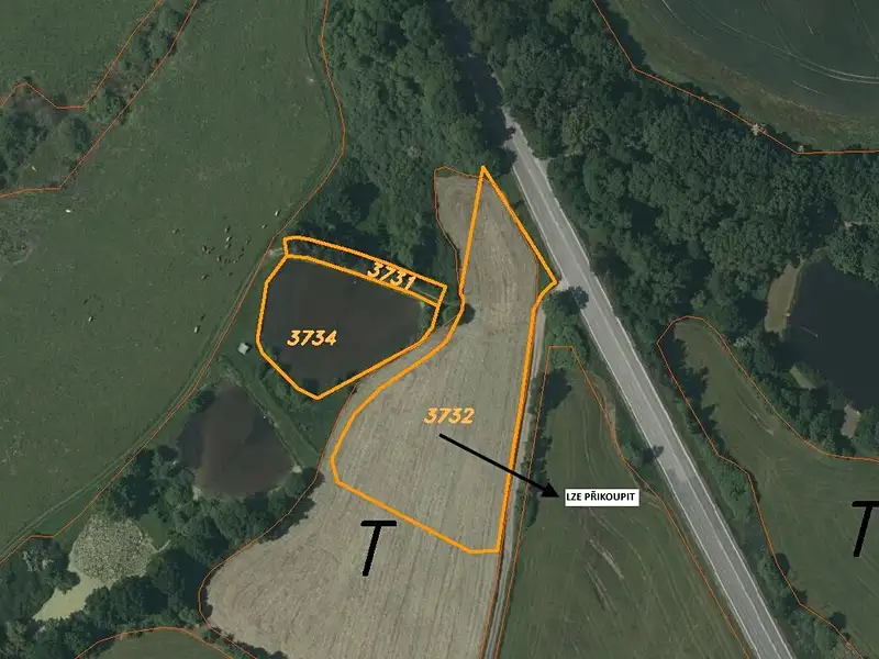 Prodej rybníku (vodní plochy) 2882 m², Netolice – náhled fotky 3