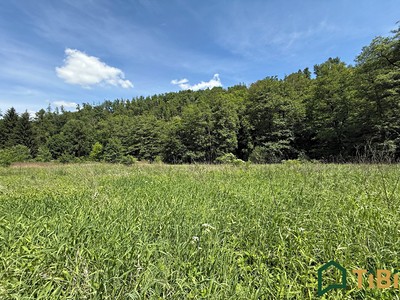 Prodej  louky 3 200 m²