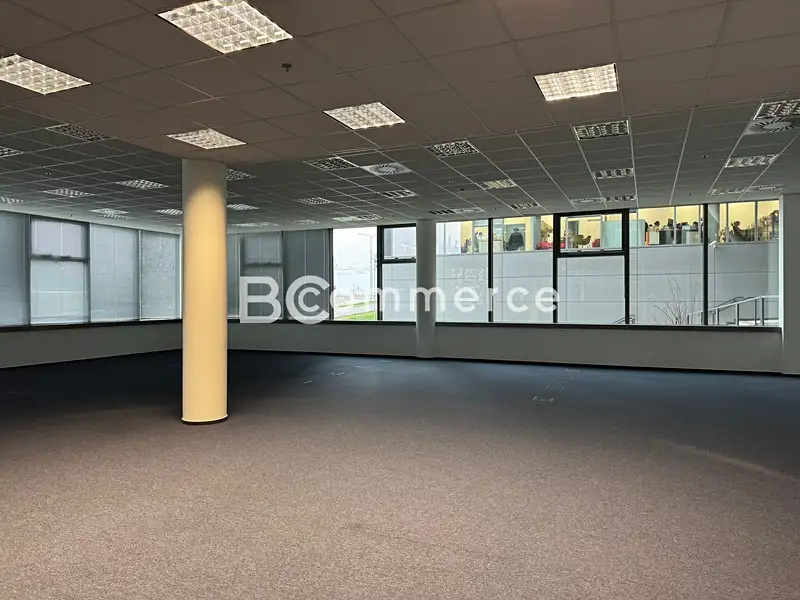 Pronájem kanceláře 780 m², Brno – náhled fotky 3