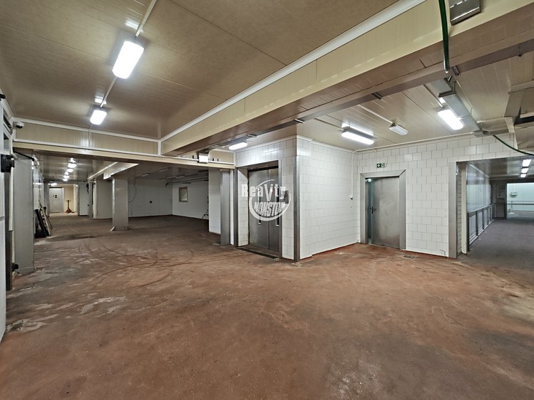 Комерційне приміщення в оренду, 6 700 м² (10 з 14)