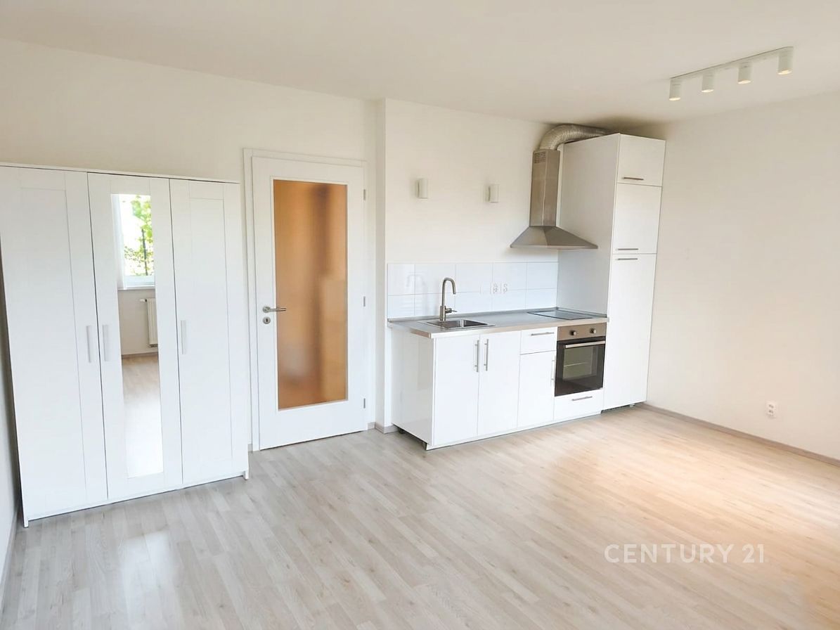 Pronájem bytu 1+kk 33 m²