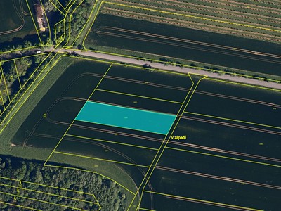 Prodej  pole 18 804 m²