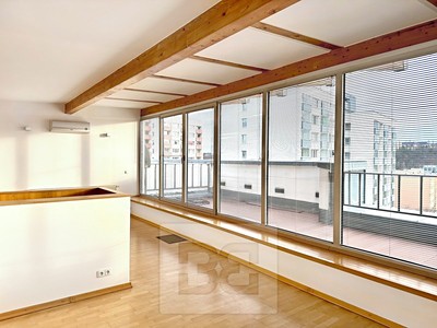 Pronájem bytu 4+kk 153 m²