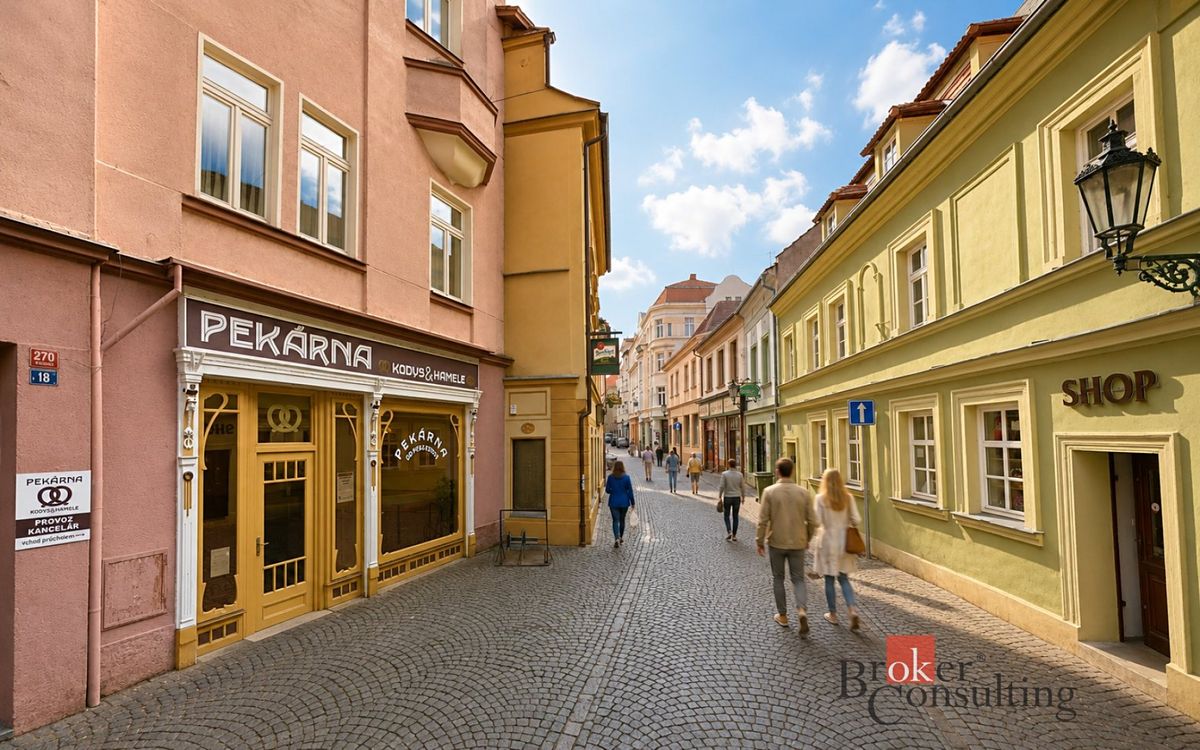 Prodej činžovního domu 499 m² – fotografie 3