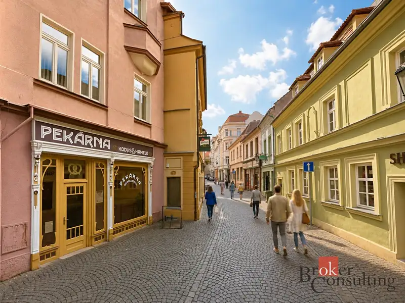 Prodej činžovního domu 499 m², Litoměřice – náhled fotky 3