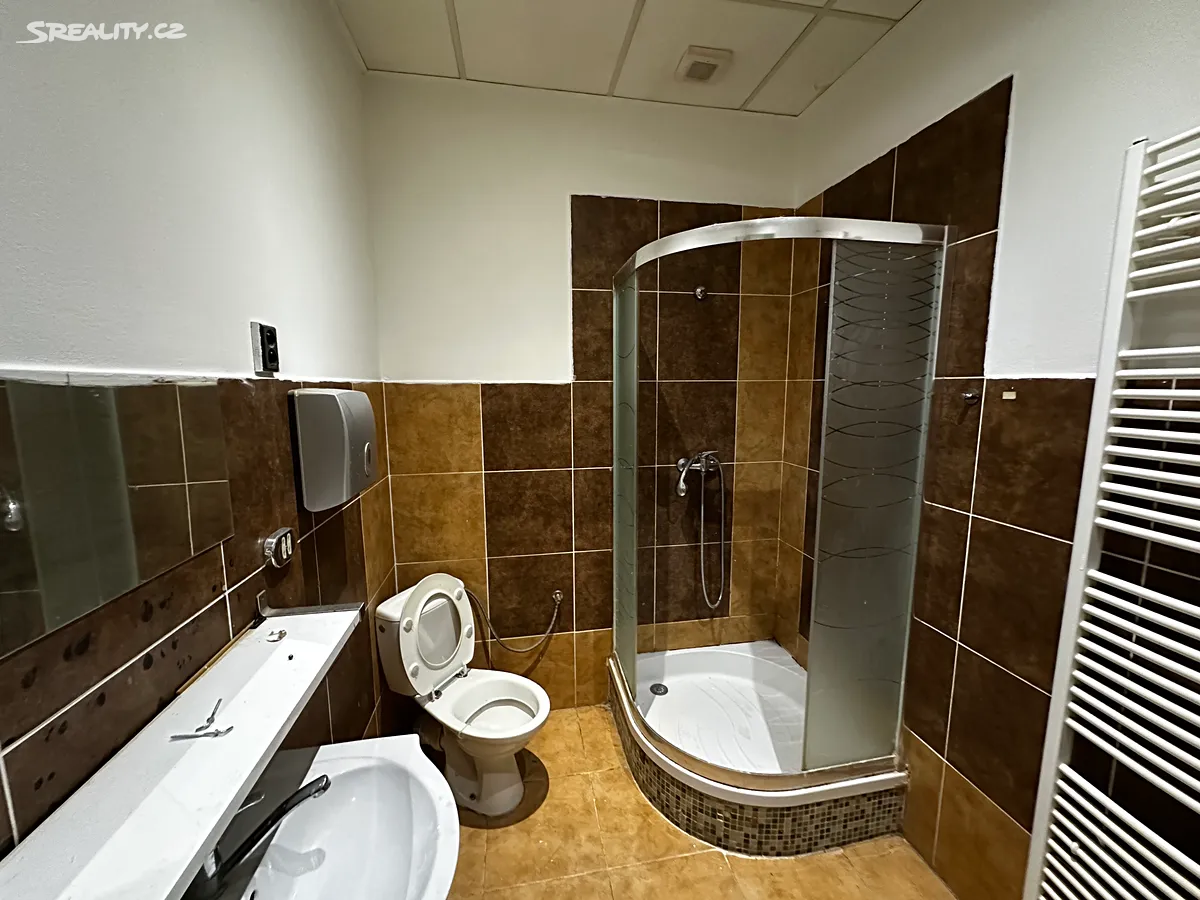 Prodej obchodního prostoru 133 m² – další