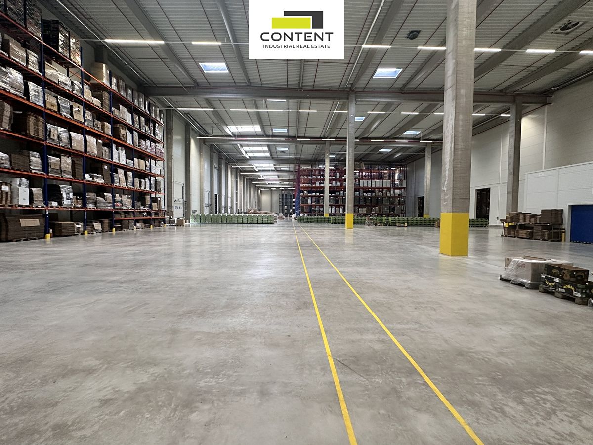 Pronájem skladového prostoru 3000 m²