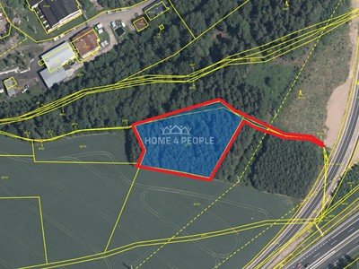 Prodej  lesa 4 000 m²