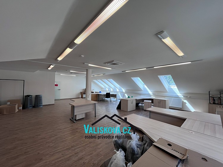 Gewerbefläche zur Miete, 300 m² (12 von 26)