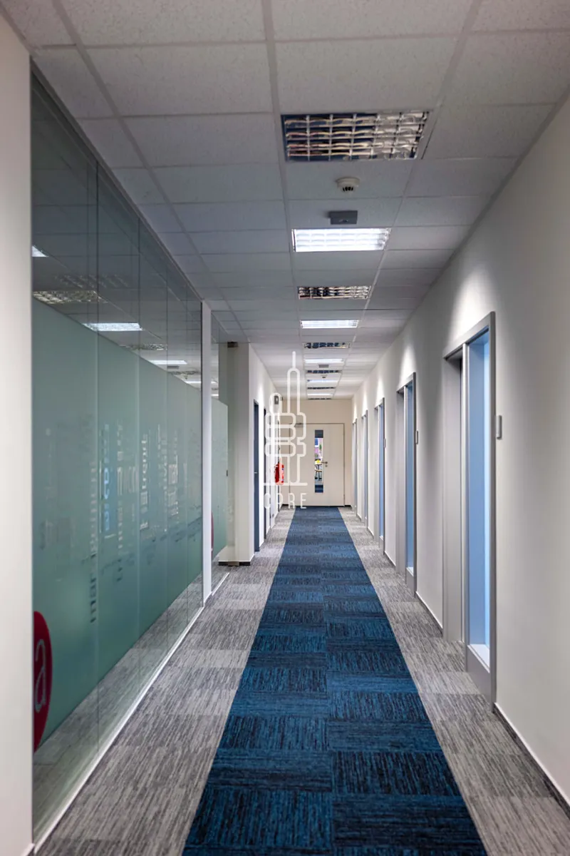 Fotka 4 z 12