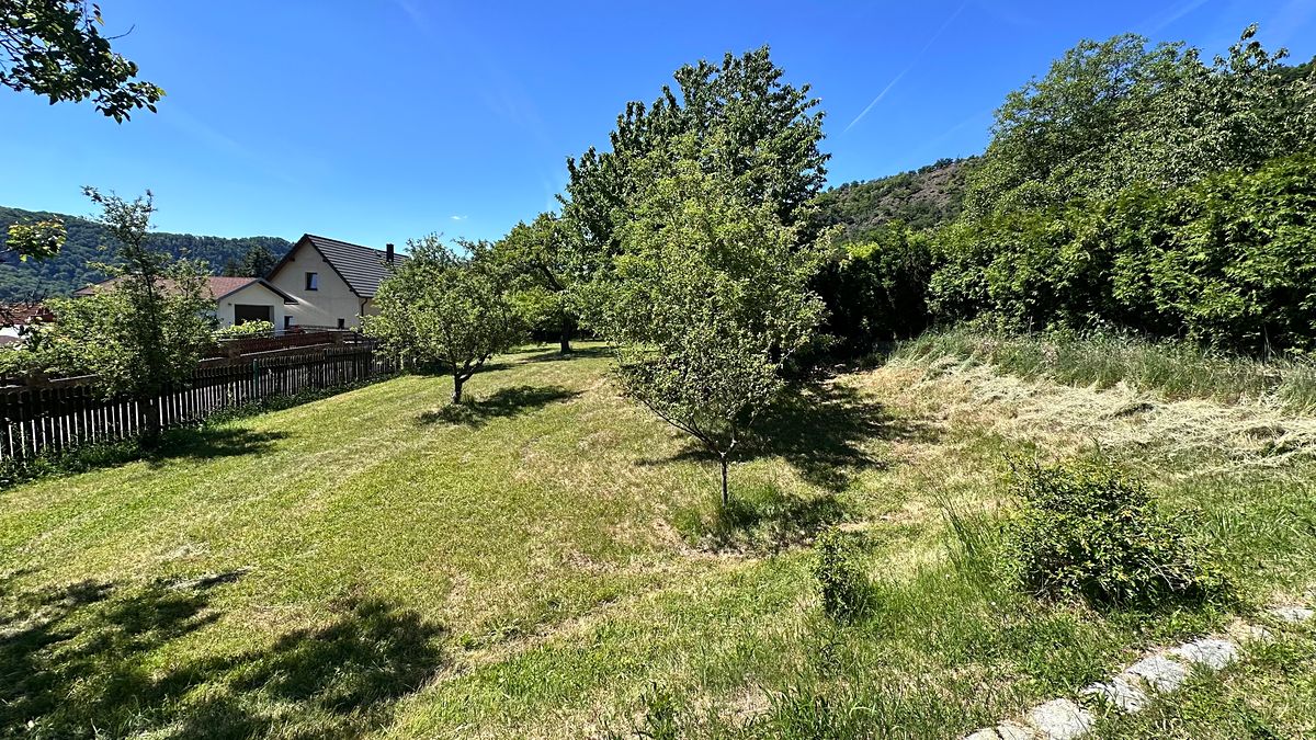 Prodej rodinného domu 300 m², pozemek 1770 m² – fotografie 3