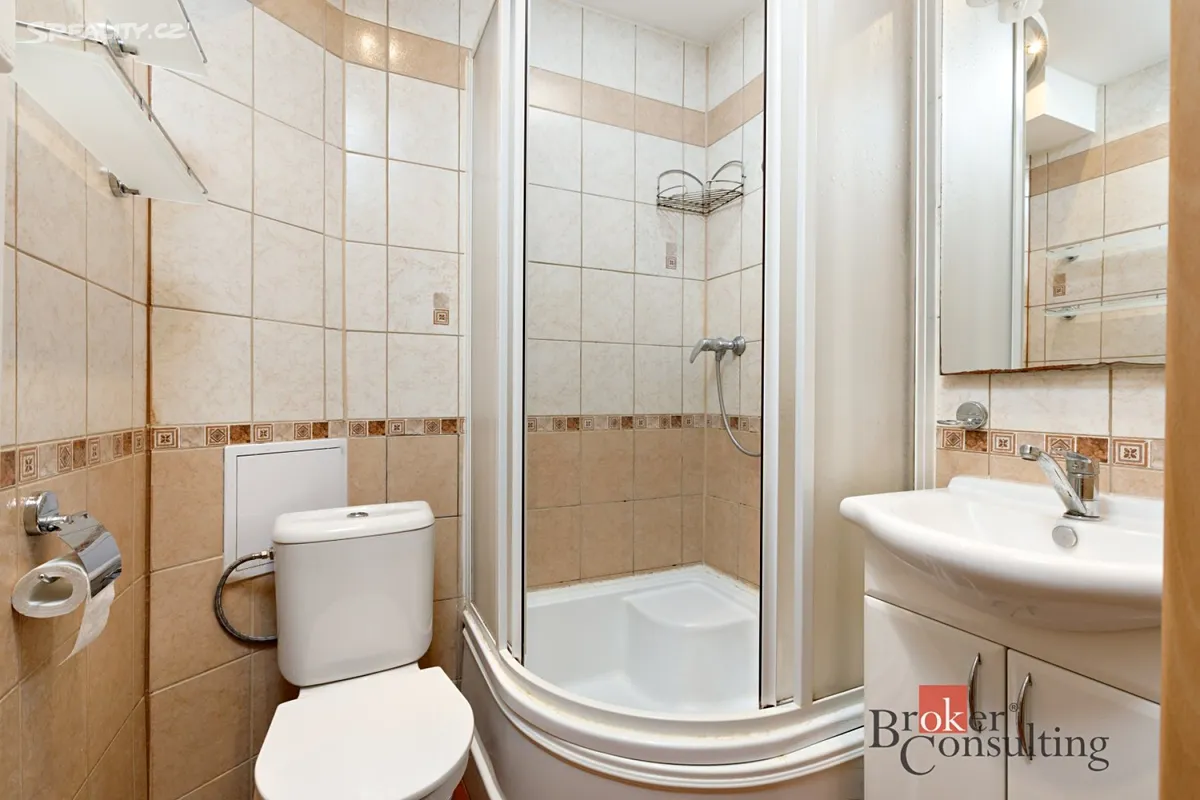Pronájem bytu 1+1 30 m² – pohled 3