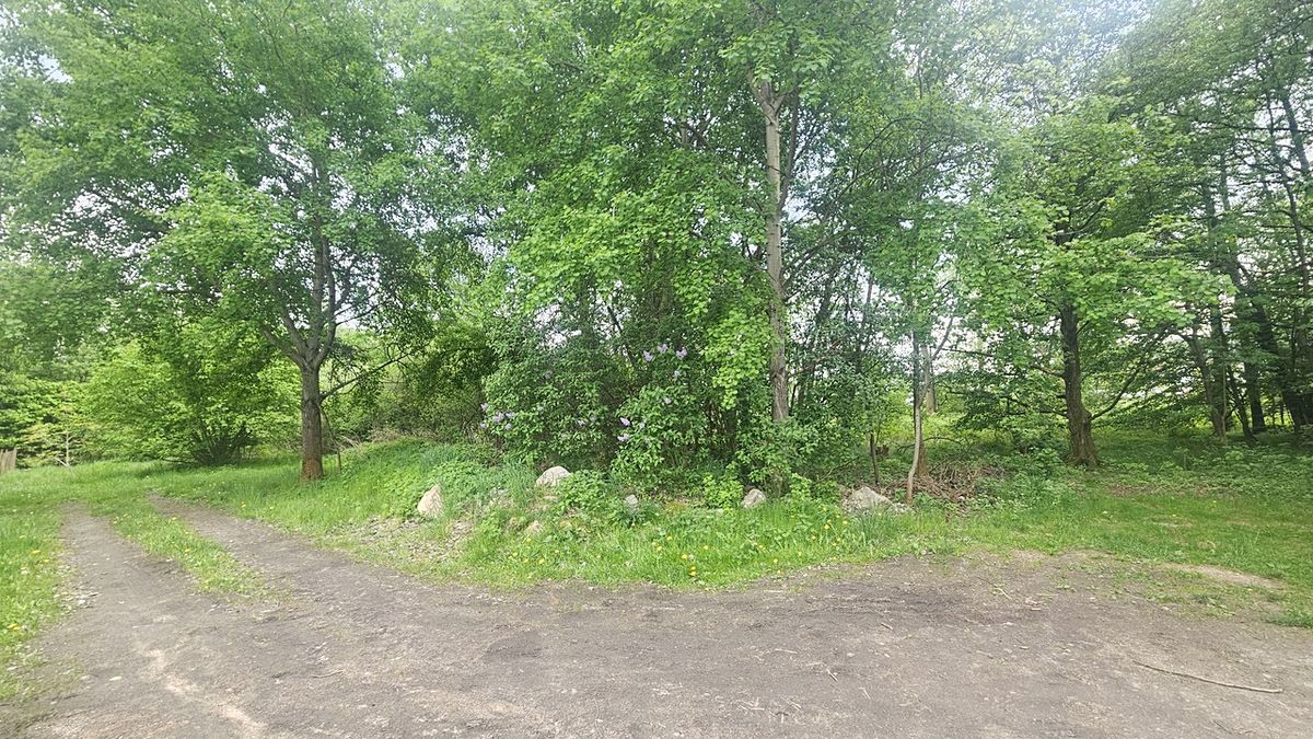 Prodej pozemku 9589 m² – fotografie 3